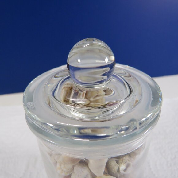 REAL sea shells in a New Glass Jar w seal & lid 5.75" tall (1+ pounds) - Picture 8 of 12